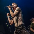 Click to enlarge GutterPunk - Professional Concert Photography